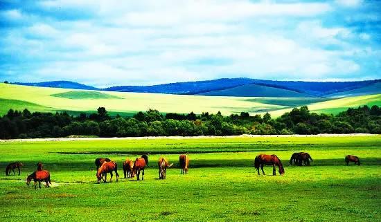 内蒙古,嘉宾与友朋的盛会