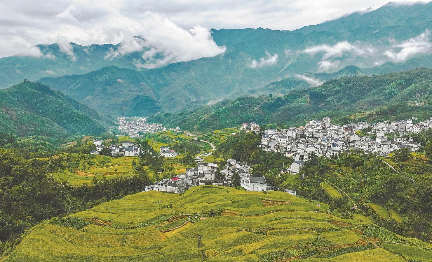 安徽小巷深处的诗意邂逅,寻味特色小店