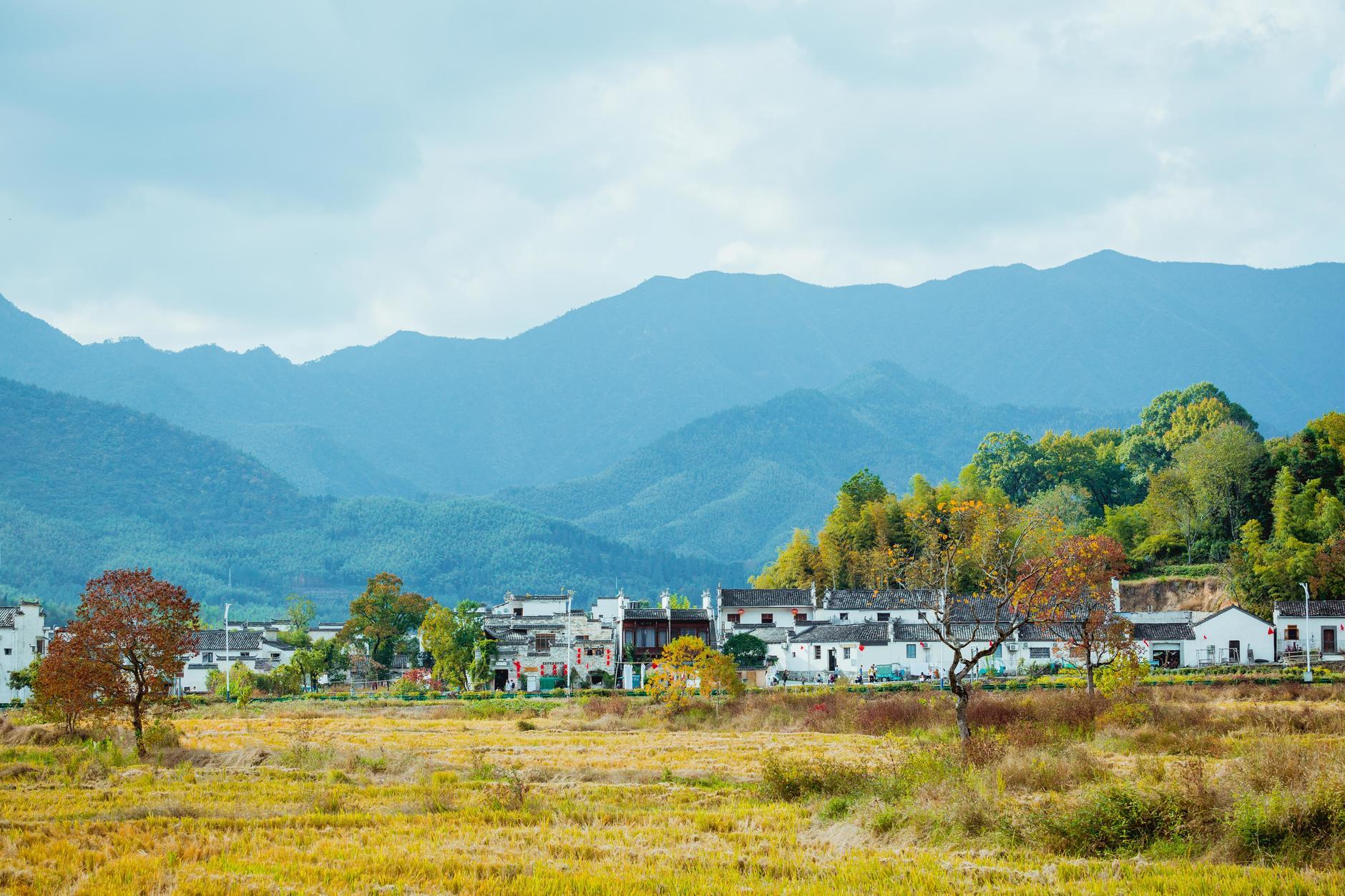 安徽小巷深处的诗意邂逅,寻味特色小店