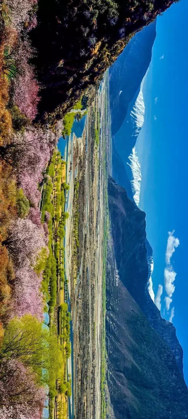 西藏,蓝天下的温馨日常与友情趣事