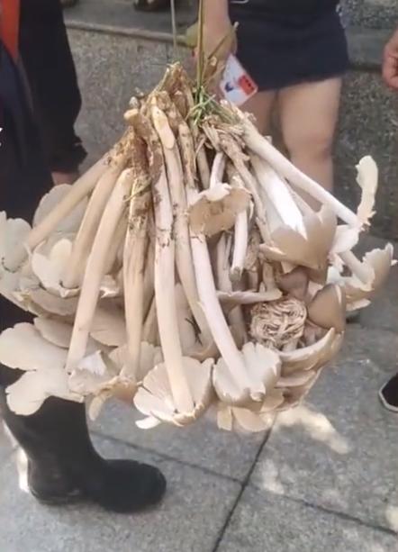 贵州盛情邀约,尊敬嘉宾与朋友共聚一堂