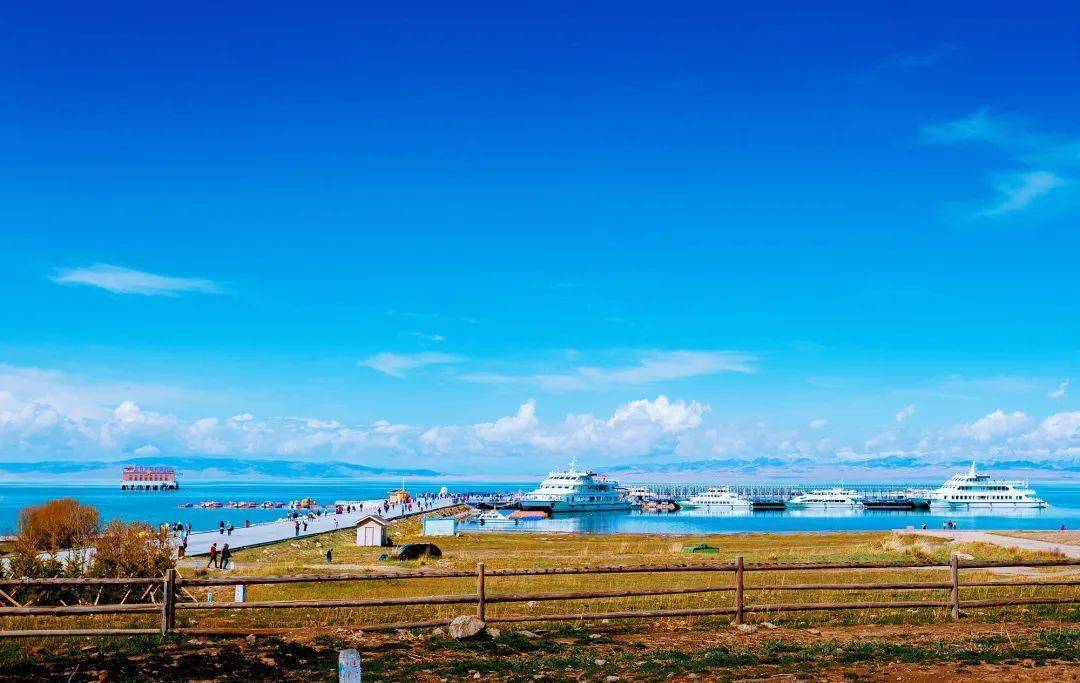 高原瑰宝,青海生态与文化探秘之旅