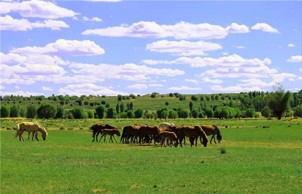 鄂尔多斯,穿越时光的草原秘境之旅
