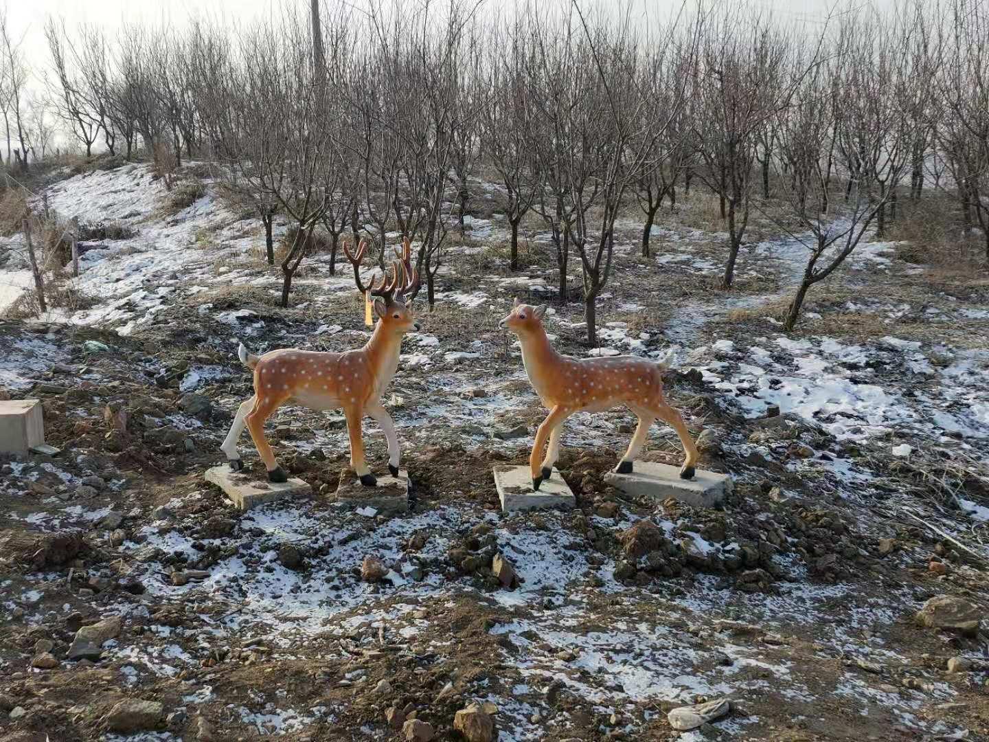 辽源，历史、文化与发展的探索之旅